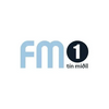 undefined FM 1