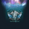 undefined future_of_angel