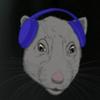 undefined Kanalratten