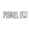 undefined pegelfm
