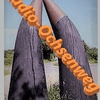 undefined radio-ochsenweg