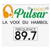 undefined Radio Pulsar Katiola