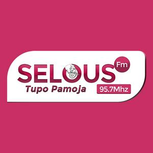 Selous Fm Radio