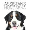 undefined Assistanshundarna