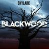 undefined Blackwood