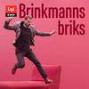 undefined Brinkmanns briks