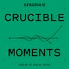 undefined Crucible Moments