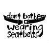 undefined Don't Bother Wearing Seatbelts (An Elephant 6 Recording Company Podcast)