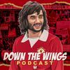 undefined DOWN THE WINGS PODCAST