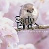 undefined Early Bird weekly podcast