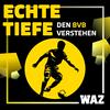 undefined Echte Tiefe – den BVB verstehen
