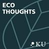 undefined Eco Thoughts
