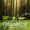 undefined Forbindelse