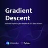 undefined Gradient Descent - Podcast about AI and Data