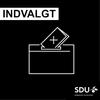 undefined Indvalgt