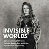undefined INVISIBLE WORLDS