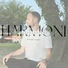 undefined Iværksætteri I Harmoni