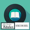 undefined Kend din Bibel