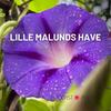 undefined Lille Malunds have