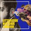 undefined Litteraturhistorie i ørerne