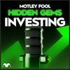 undefined Motley Fool Hidden Gems Investing