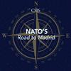 undefined NATO’s Road to Madrid