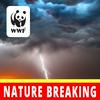 undefined Nature Breaking