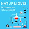 undefined NATURLIGVIS - historiefortællinger om videnskab og teknologi