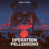 undefined Operation Pellegrino