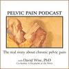 undefined Pelvic Pain Podcast|The Real Story About Chronic Pelvic Pain