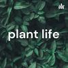 undefined plant life