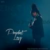 undefined Prophet Lovy