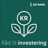 undefined Råd til investering