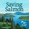 undefined Saving Salmon