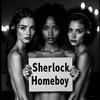 undefined Sherlock Homeboy - The American Sherlock Holmes