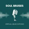 undefined Soul Bruises