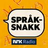 undefined Språksnakk