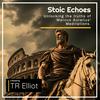 undefined Stoic Echoes: Unlocking the truths of Marcus Aurelius' Meditations.