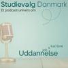 undefined Studievalg Danmark