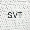 undefined Svt