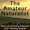 undefined The Amateur Naturalist