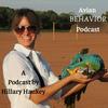undefined The Avian Behavior Podcast