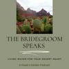 undefined The Bridegroom Speaks