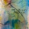 undefined THE CURIOSITY PROJECT