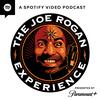 undefined The Joe Rogan Experience