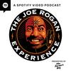 undefined The Joe Rogan Experience