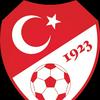 undefined The Turkish Football Podcast