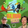 undefined The Real Birding Podcast