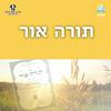 undefined תורה אור