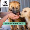 undefined VETO - Der Tierschutz-Podcast